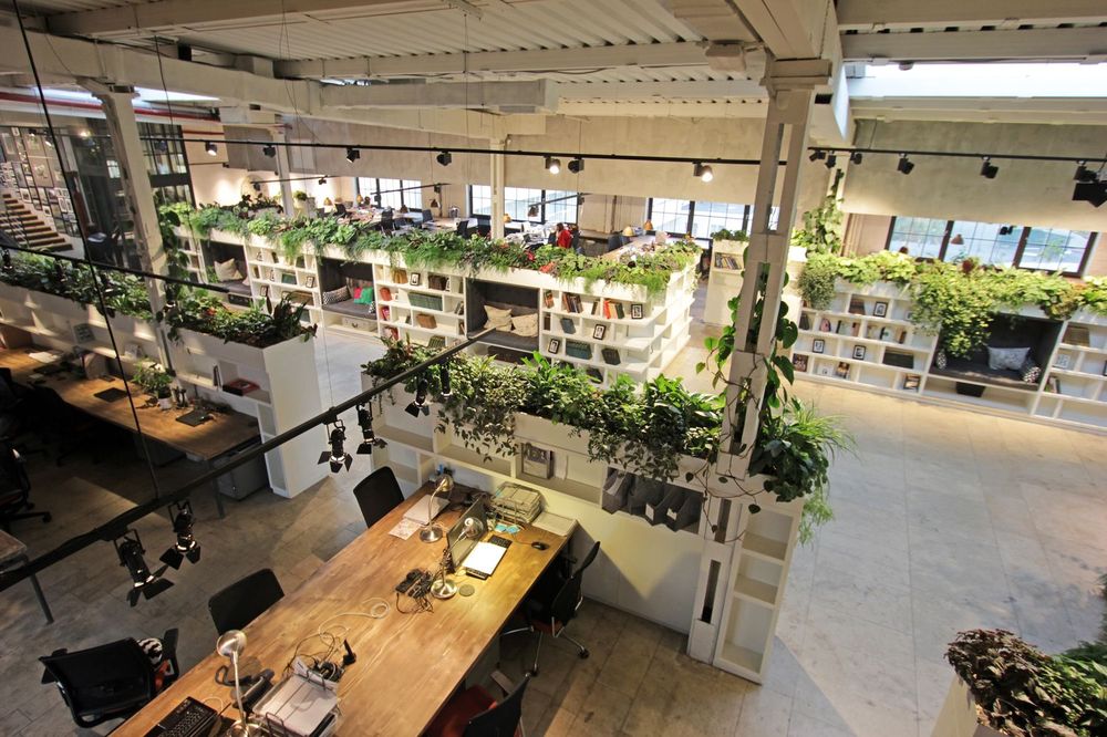 Trang trí văn phòng cây xanh: Trang trí văn phòng với cây xanh là cách tuyệt vời để tạo nên một không gian làm việc sáng tạo, thoải mái và thu hút. Bạn có thể sáng tạo với các loại cây xanh khác nhau, kết hợp với đồ nội thất và trang trí cùng màu sắc, để tạo ra một không gian văn phòng độc đáo và ấn tượng.