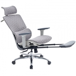 Ghế công thái học A522