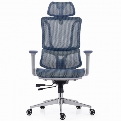 Ghế công thái học A539