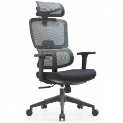 Ghế công thái học LM186A